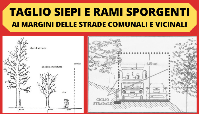 Taglio siepi e rami sporgenti ai margini delle strade Comunali e vicinali