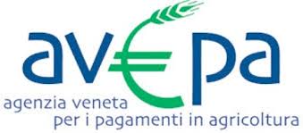Immagine anteprima